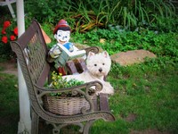 Sugar Star FCI, Hodowla West Highland White Terrier, West Highland White Terriery