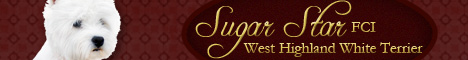 Sugar Star FCI, Domowa Hodowla West Highland White